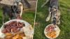 Texas Roadhouse fulfills customer's special request — his dog's last meal